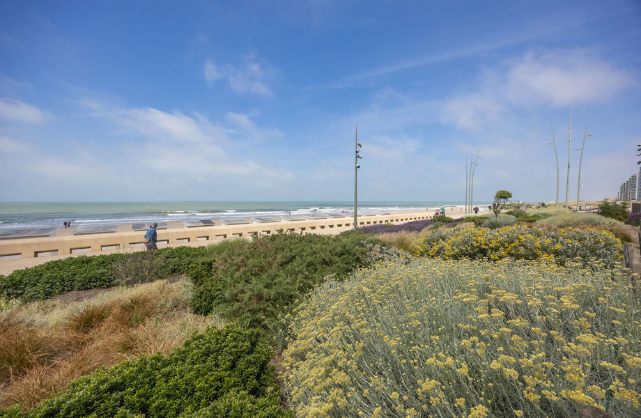 Appartement à vendre a Westende