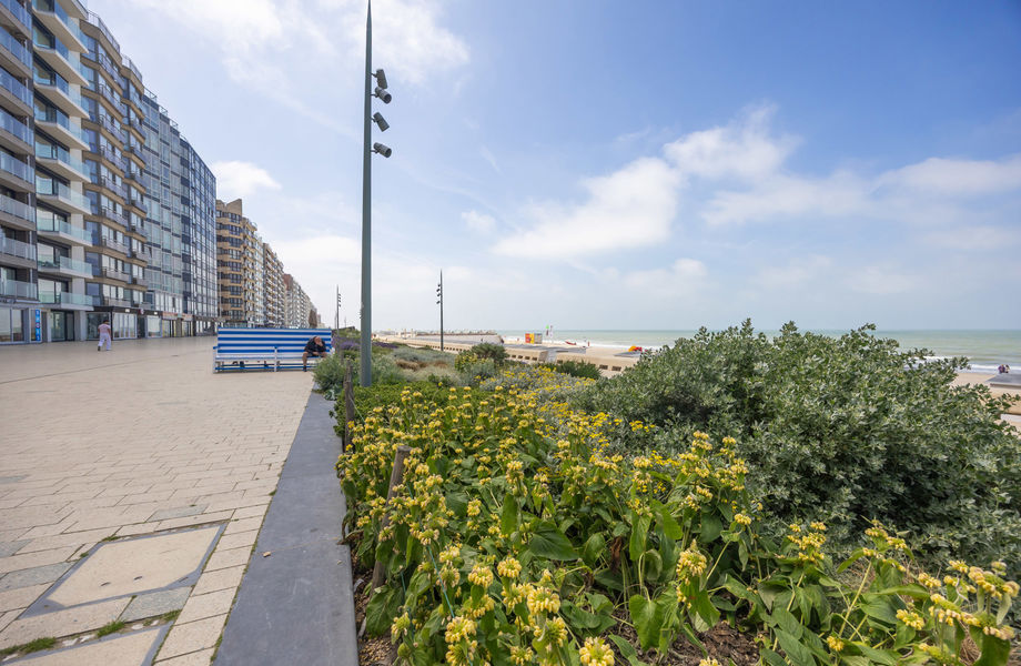 Appartement à vendre a Westende