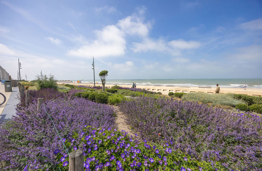 Appartement te koop in Westende
