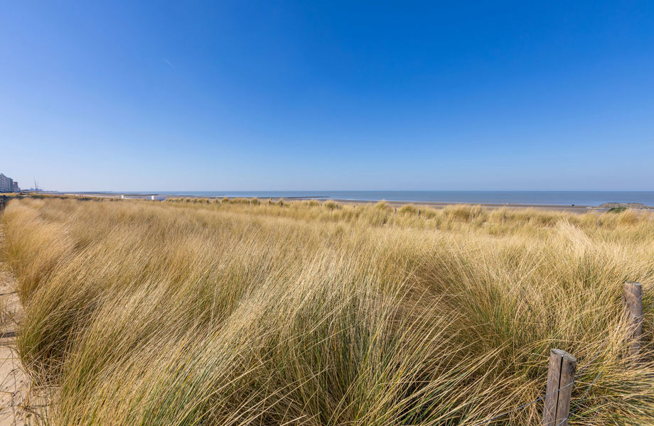 Appartement te koop in Westende